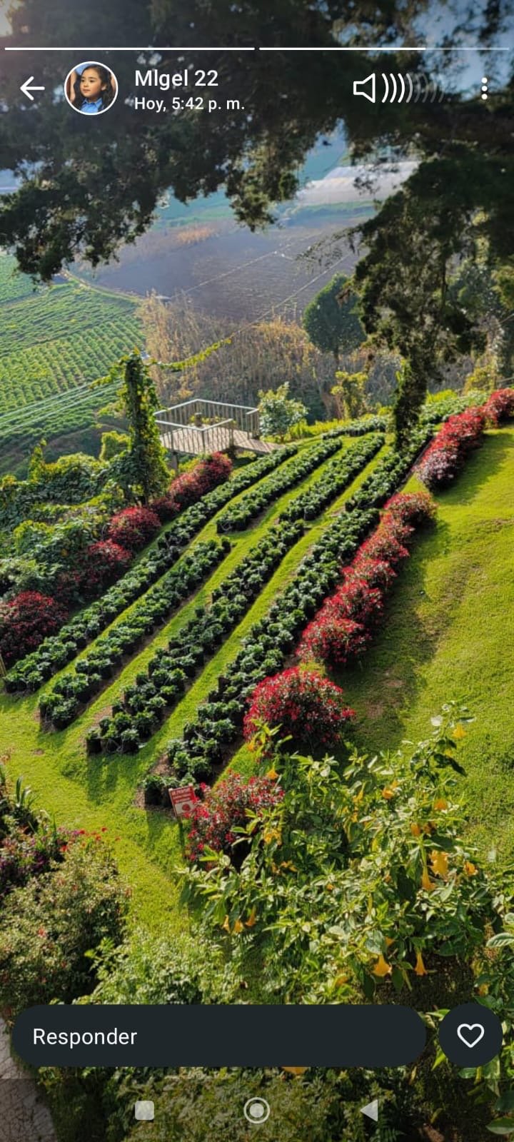 La Palma, Chalatenango