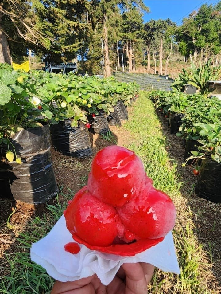 La Palma, Chalatenango